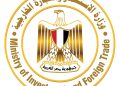 مصر تروّج لخدماتها التعليمية في نيجيريا