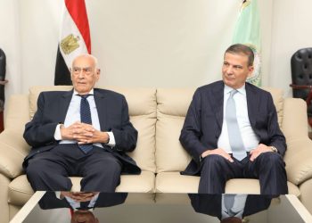 وزير الزراعة يبحث مع وفد ألماني تطوير الزراعة العمودية للقمح