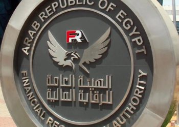 الرقابة المالية توجه بسرعة صرف تعويضات ضحايا حادث طريق أسيوط الغربي