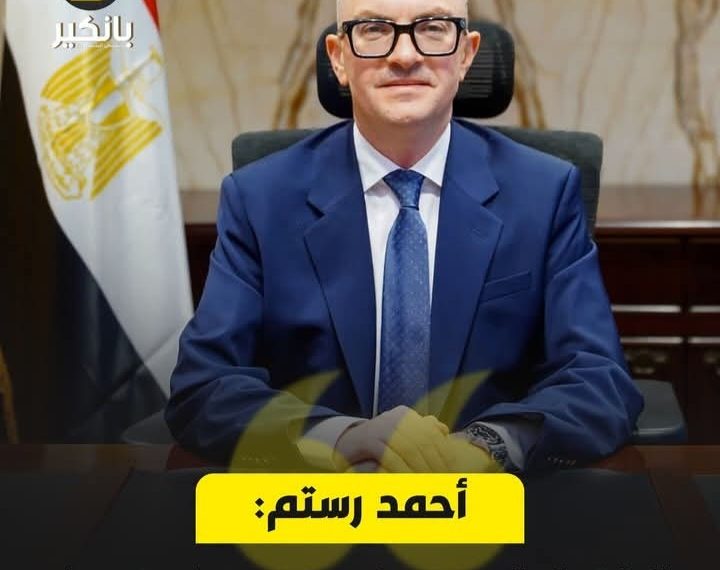 وزير التخطيط: الاقتصاد المصري ينمو 5.1% والقطاع الخاص يستحوذ على 57.7% من الاستثمارات